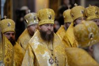 2P20150201-VAR_5946-1200