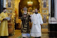 2P20150201-VAR_6536-1200