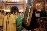 2P20150201-VSN_4421-1200