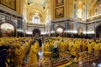 detail20190201-PAL_8349-обр