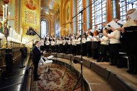 detail20190201-PAL_8390-обр