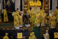 detail20190201-PAL_8426-обр