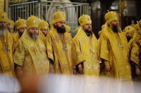 detail20190201-PAL_8489-обр