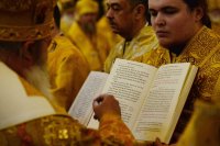 detail20190201-VAR_4732-обр