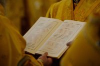 detail20190201-VAR_4743-обр