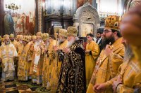 detail20190201-VSN_0313-обр