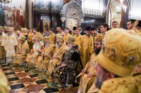 detail20190201-VSN_0364-обр