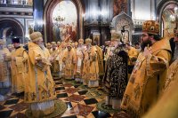 detail20190201-VSN_0398-обр