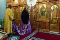 017Feodorovskiy_kh_Lip_1