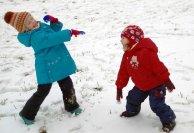 10978543_415694685262931_7983205391025019892_n