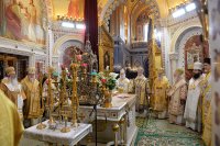 2P20161120-PAL_0120-1200