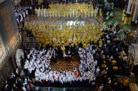 2P20161120-PAL_0237-1200