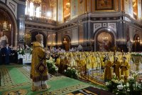 2P20161120-PAL_0240-1200