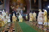 2P20161120-PAL_9943-1200