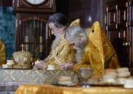 2P20161120-VAR_7330-1200