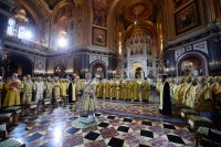 2P20161120-VAR_7508-1200