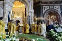 2P20161120-VAR_8149-1200