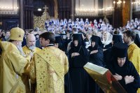 2P20161120-VAR_8363-1200