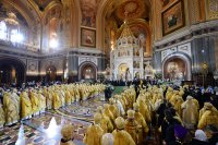 2P20161120-VAR_8743-1200