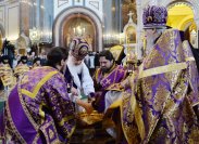 2P20140417-PAL_4504-1200