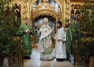 2P20140608-VSN_2135-1200