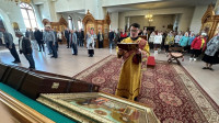 IMG_4381